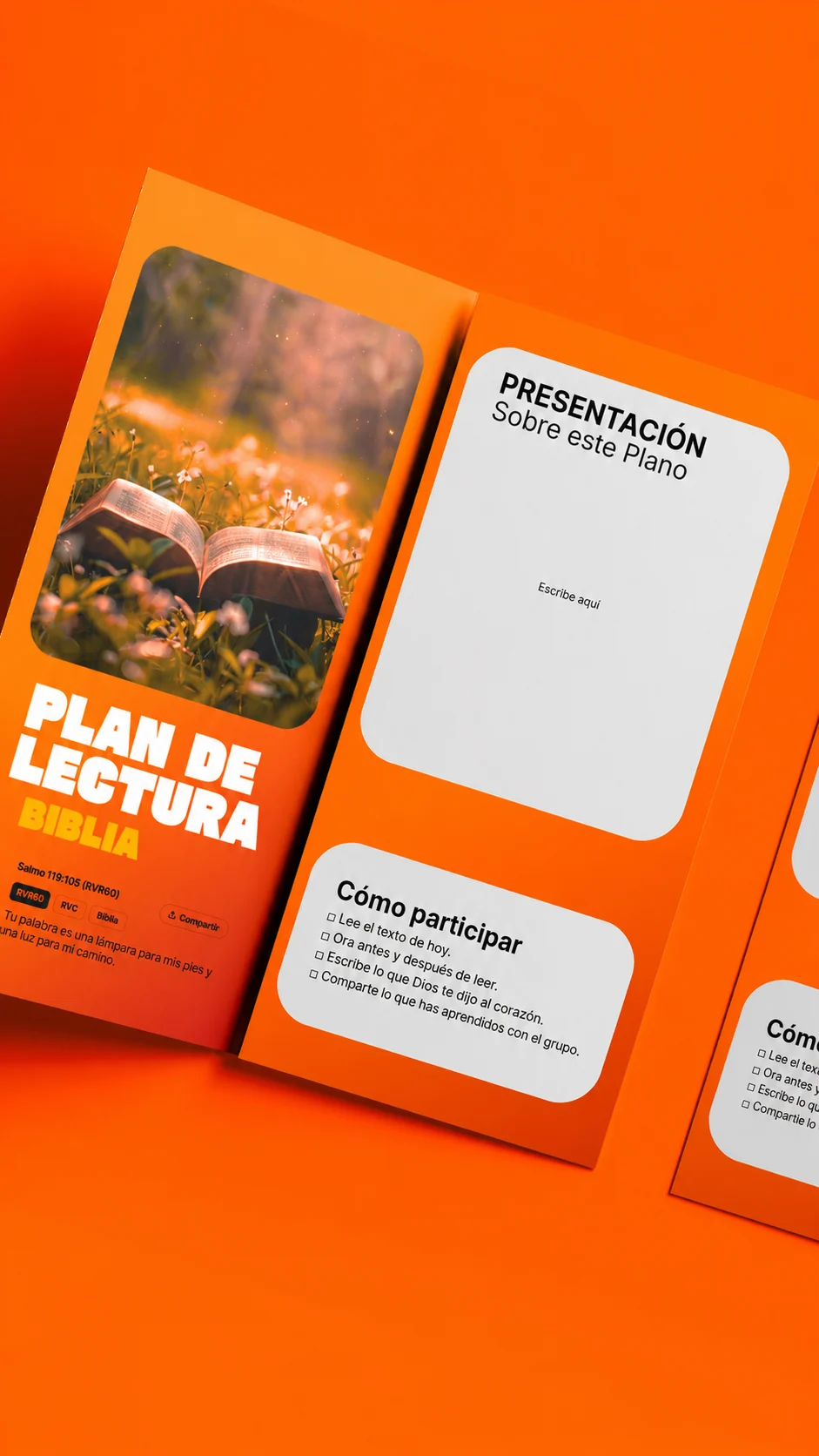 Plan de lectura bíblica